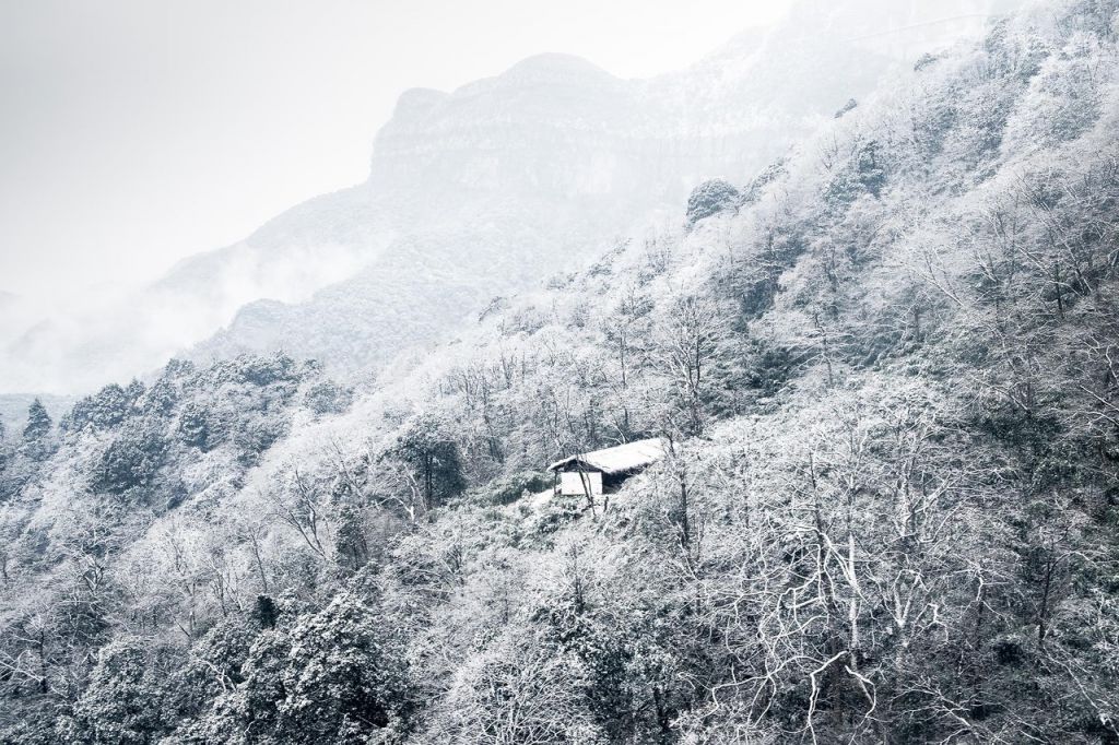 2024重庆金佛山冬季赏雪滑雪2日游攻略（门票+路线）(图1)