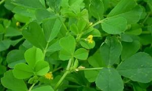 滑雪装备有哪些中国滑雪装备市场规模分析(图7)