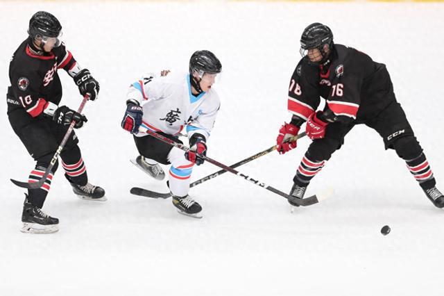 全力以赴迎“冬风”——哈尔滨亚冬会筹办工作进入冲刺阶段(图1)