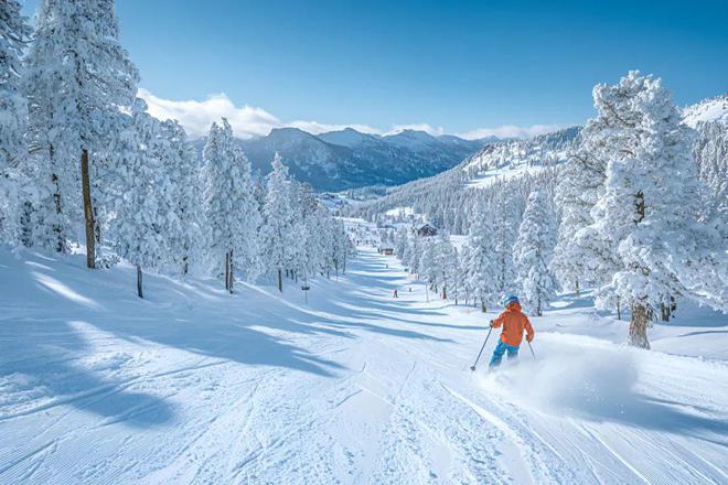 1元拍卖！泼天流量救不了阿勒泰国际滑雪场？(图2)