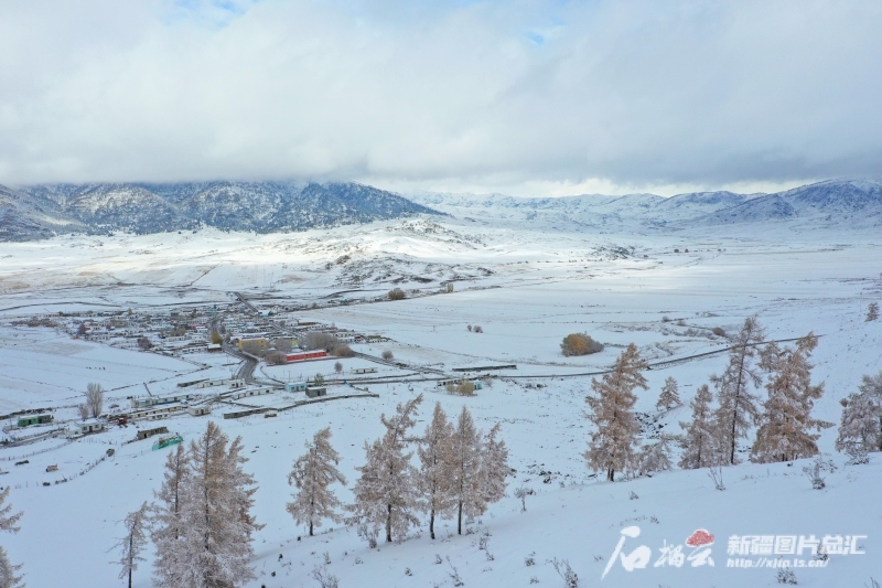 前10个月新疆接待游客超27亿人次同比增长1442%(图1)