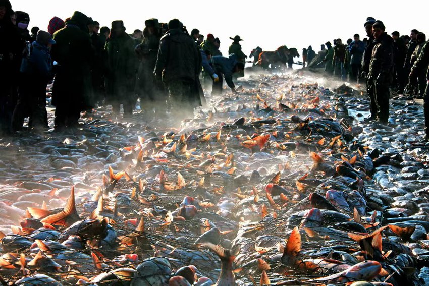 加速绘就吉林冰雪经济壮美新画卷(图4)