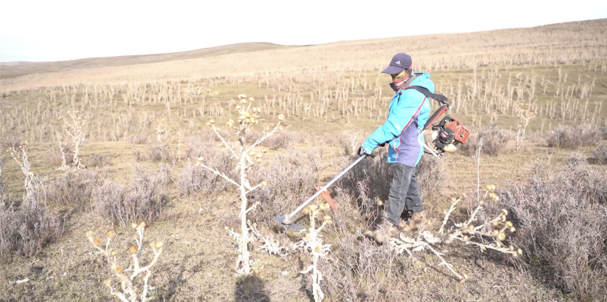 高质量发展看中国丨“冷资源”释放“热消费”冰雪经济潮涌中国(图4)