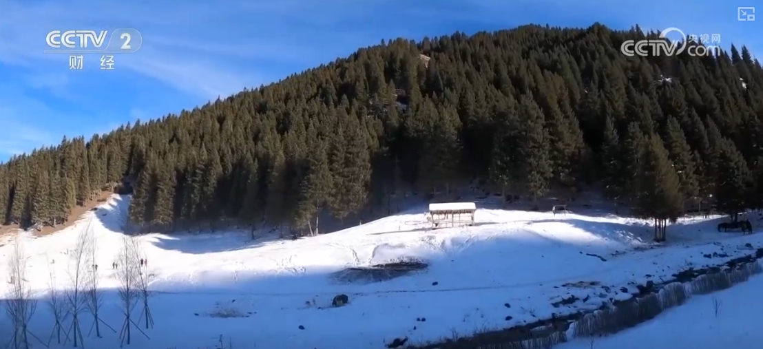 “滑雪+旅游”“滑雪+赛事”美食”……“冷冰雪”助燃“热经济”(图16)