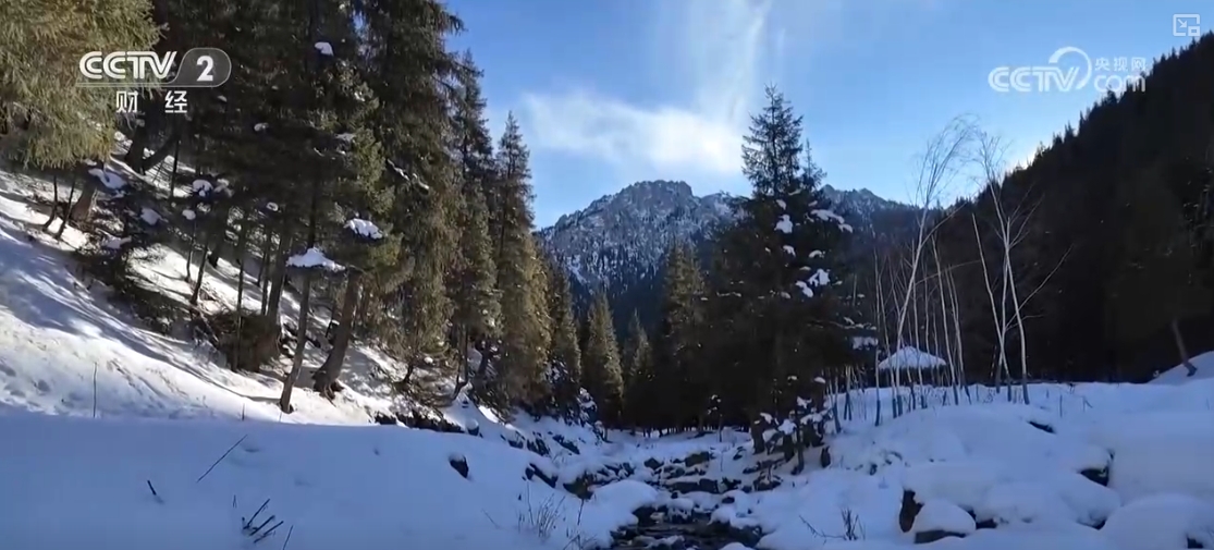 “滑雪+旅游”“滑雪+赛事”美食”……“冷冰雪”助燃“热经济”(图17)