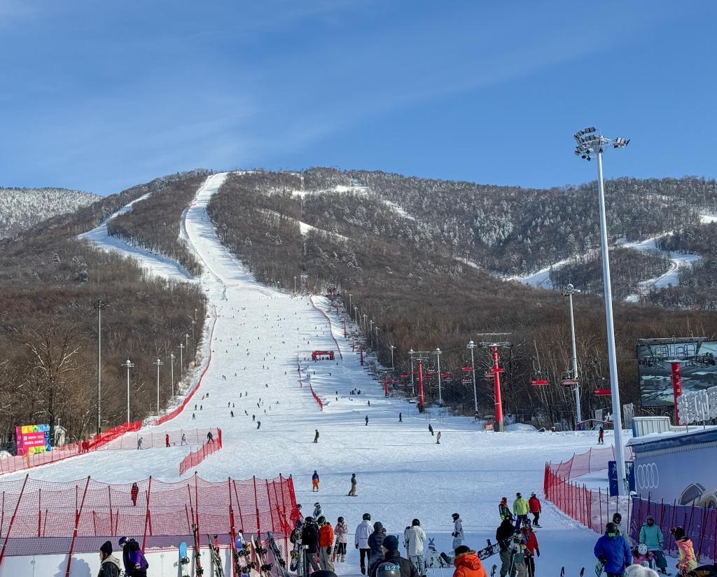 财经聚焦丨数据见证新春冰雪经济新活力(图2)