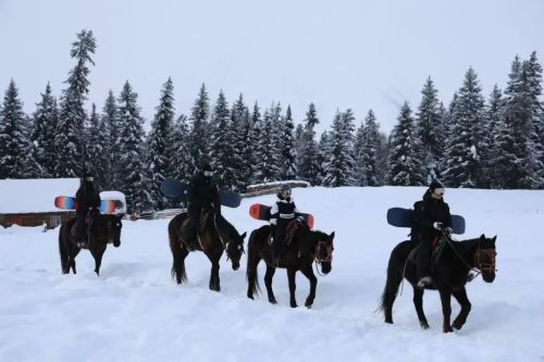 12天花掉13万月薪两万滑不起雪了？(图4)