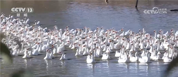 “冷经济”撬动“热产业”冰雪经济发展再迎利好！(图2)