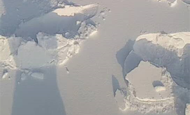 ins网红造雪机造雪放心不含化学物质(图2)