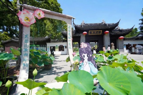 赏荷花睡莲、玩冰雪世界本周上海文旅生活指南(图1)