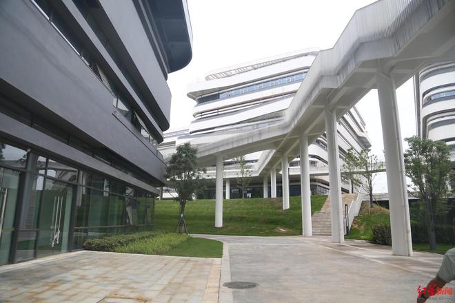 全球首创！“成都造”仿生胶原蛋白突破热稳定性难题(图4)