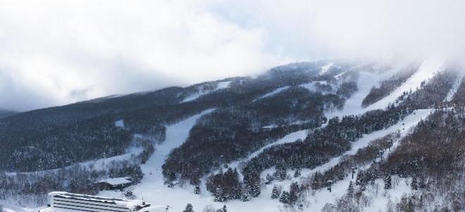 多名中国公民在日本滑雪遭遇意外使馆提醒！曾有中国人遇难(图1)