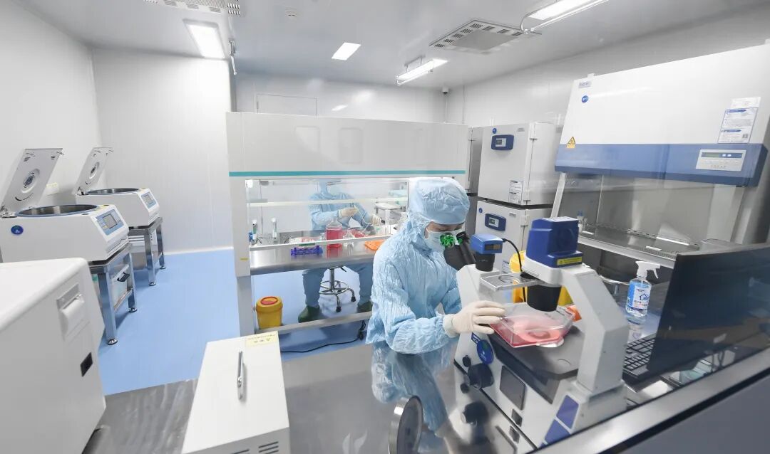 定州:追“智”逐“新”向未来(图1)