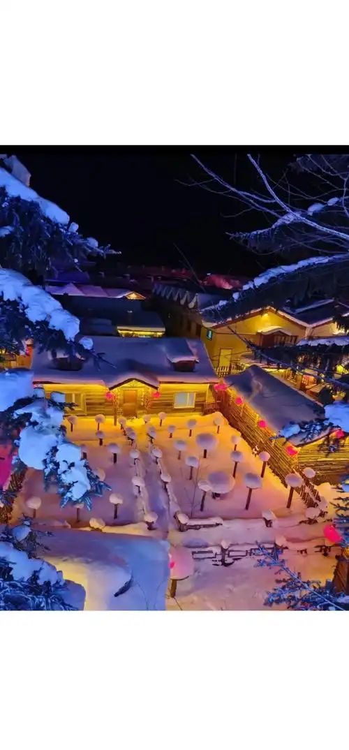 哈尔滨优品国际旅行社：2025哈尔滨旅游高性价比出行全攻略(图2)