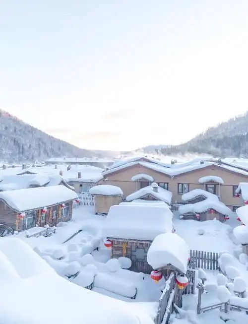 哈尔滨优品国际旅行社：2025哈尔滨旅游高性价比出行全攻略(图1)