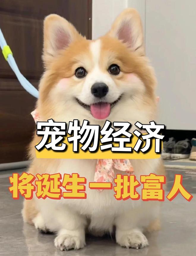 中国进入低欲望时代没人愿意花钱了?这5条赛道正闷声发大财!(图3)