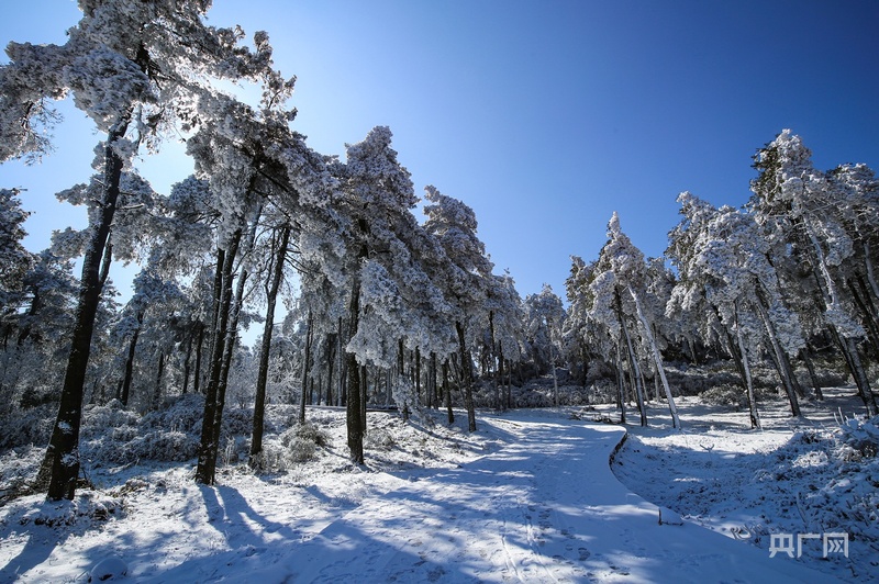 高质量发展看中国丨雪落北纬26度：解码南国冰雪城的破局与升华(图1)
