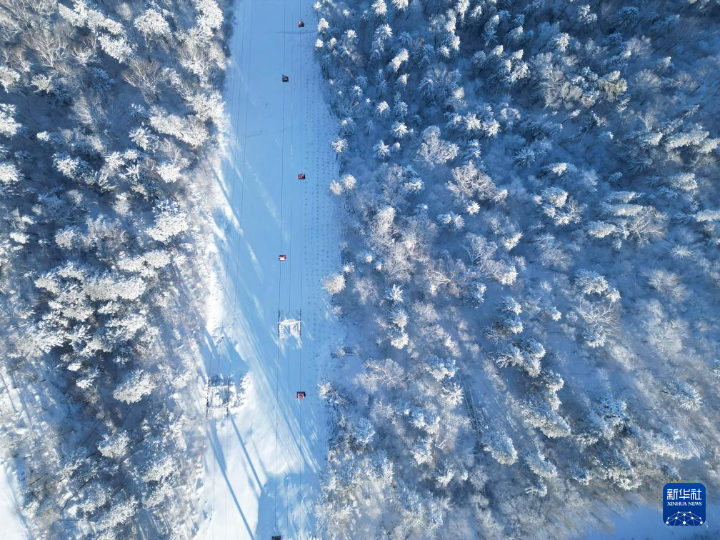 我国冰雪装备制造乘“冬”风向新生长(图4)