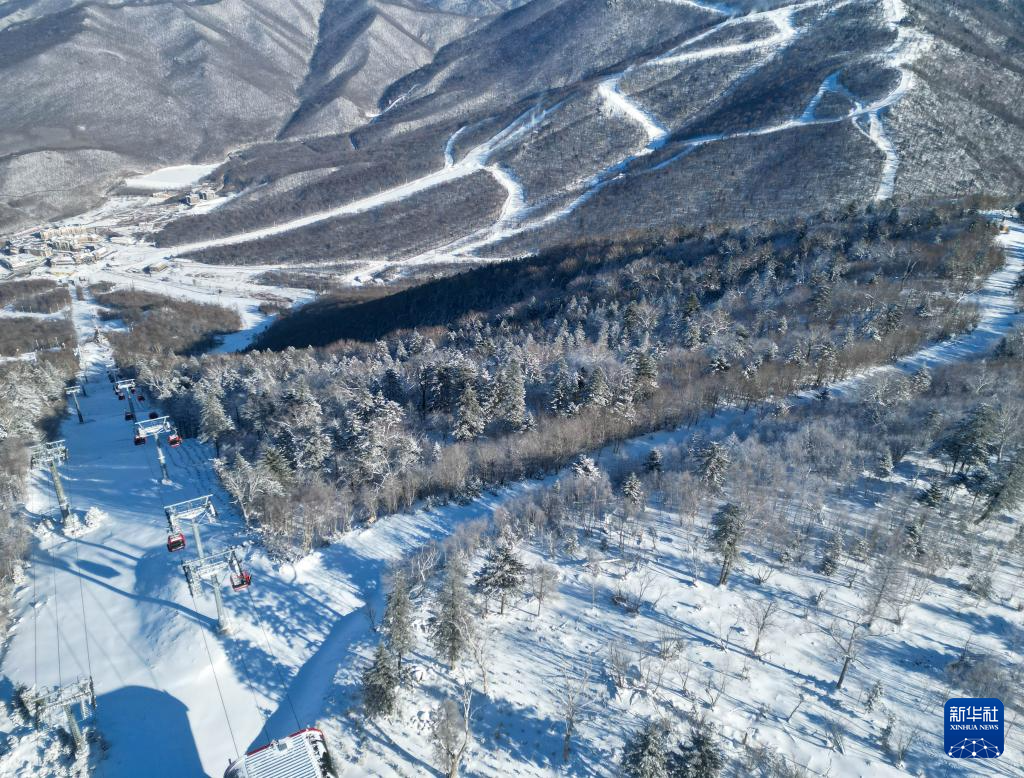 我国冰雪装备制造乘“冬”风向新生长(图8)