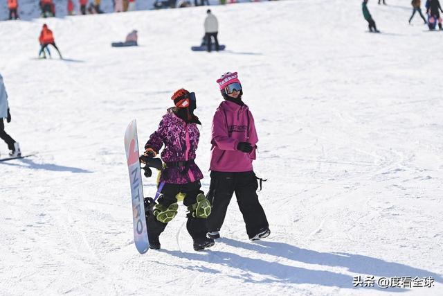 从早嗨到晚！潍坊滑雪场单日客流破千冬季遛娃新地标诞生(图13)