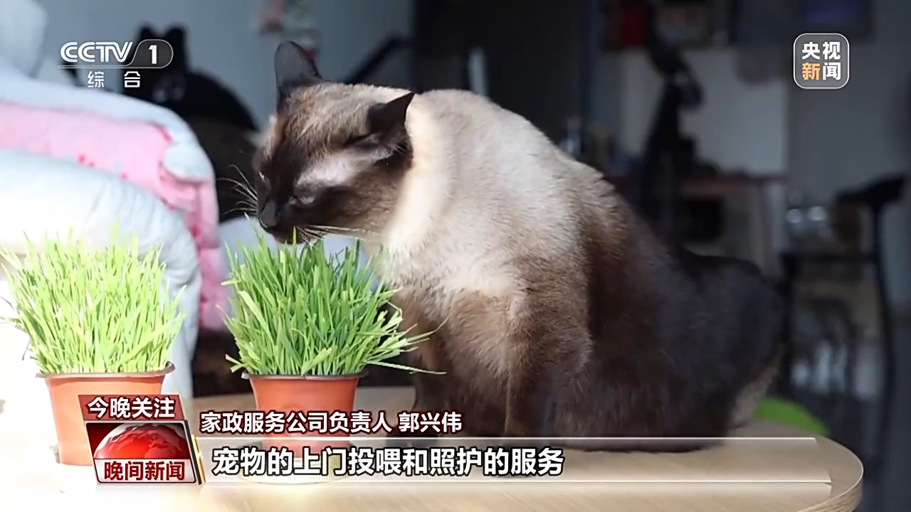 销量翻倍、订单排满节前消费市场活力十足(图6)