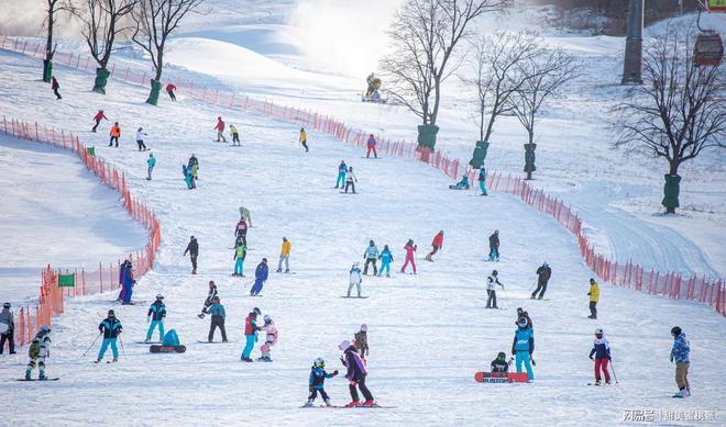 滑雪一次烧钱五六万冰雪经济火热中产家庭是在咬牙硬撑吗？(图9)